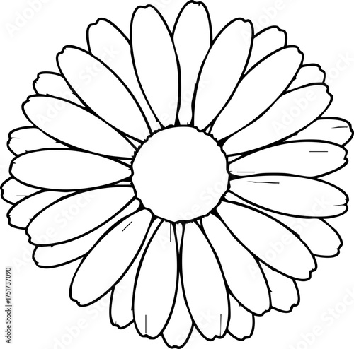 Delicate daisy blossom artwork with simple elegance, perfect for springtime designs and nature-inspired projects, originally created as a vector graphic