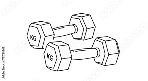 A pair of hexagonal dumbbells showing the kg weight marking.