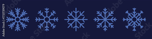 Snowflake PNG icon set. Ice crystal collection on blue background winter vector design