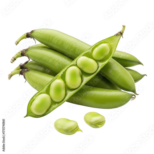 Wallpaper Mural Fresh green broad beans in pods and loose on background fava 1 Torontodigital.ca