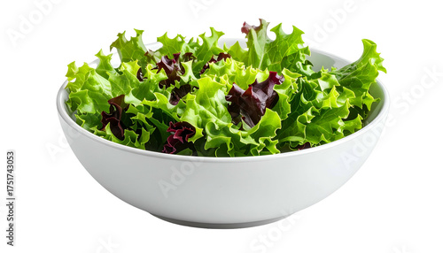 Bowl of green leaf lettuce and red leafy greens against black