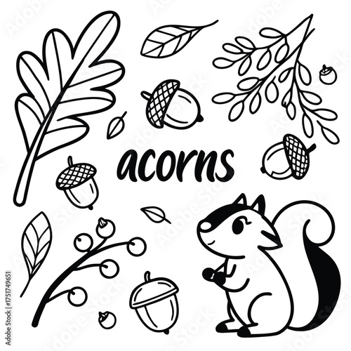 A black-and-white autumn scene centered on the bold word acorns, surrounded by multiple acorns, various leaves and branches with berries, and a cartoon squirrel holding an acorn, creating a playful.