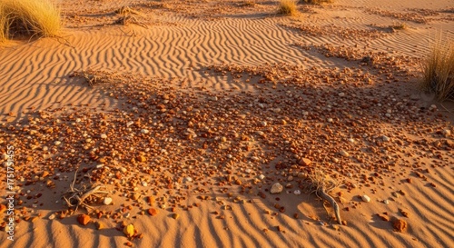 Fototapeta Naklejka Na Ścianę i Meble -  A desert landscape with sand dunes and scattered rocks under a golden sky.