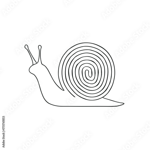 Simple line drawing of a snail with spiral shell design  