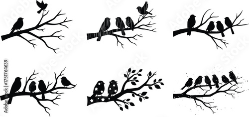 Birds sitting on tree branches, nature silhouette illustration, wildlife vector art, forest bird design, natural ecology graphic, minimal black artwork