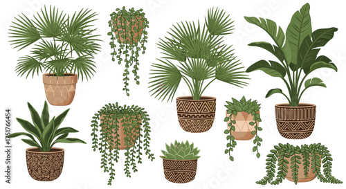 A collection of various potted house plants.