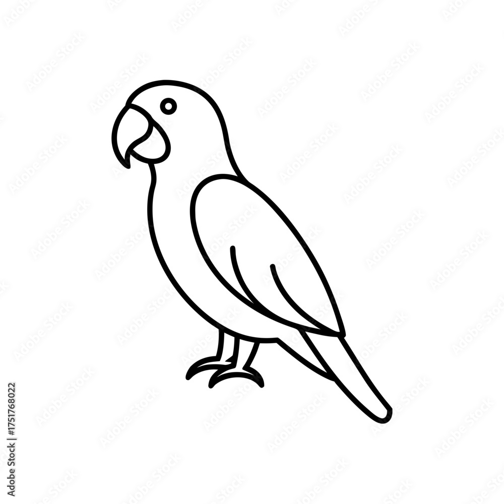 Fototapeta premium Simple outline drawing of a parrot on transparent background silhouette