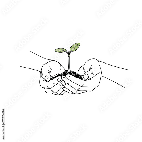 Hands holding a small plant with soil.