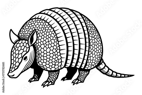 Geometric Armadillo Sphere - Vector Illustration