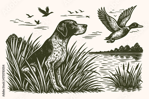 Hunting dog and ducks vintage engraving nature scene vector illustration