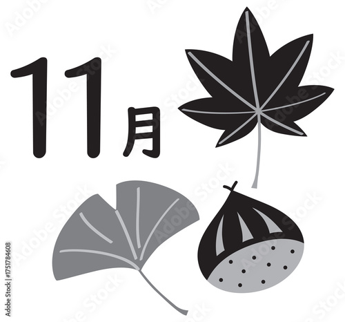 カレンダー季節のイラストアイコン　11月