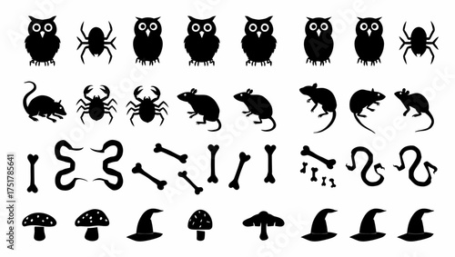 Halloween owl spider rat bone snake mushroom witch hat silhouette spooky october vector illustration vector illustration
