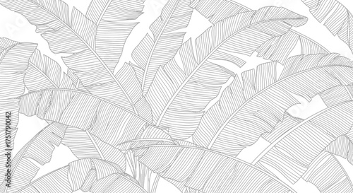 Elegant black and white botanical illustration tropical banana leaves for seamless design wallpaper