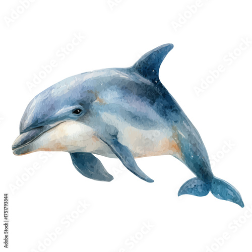 Porpoise watercolor vector illustration, high-quality artwork isolated on a pure white background.