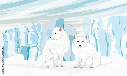 A pair of Arctic fox walks on snowy northern plain with high glaciers. Realistic vector landscape