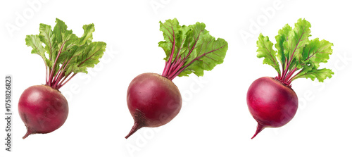 Three whole raw beetroots with vibrant green tops and deep red bulbs, isolated on a black background. PNG set, transparent background.