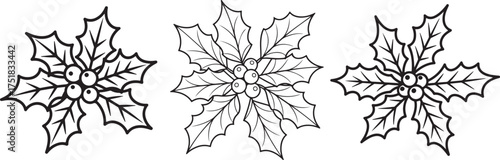 set of Christmas holly leaves and berries line art, coloring book page line art drawing, vector and illustration