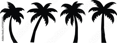 Silhouettes of tropical palm trees and coconut palms against a summer sky on a beach, perfect for a vacation illustration
