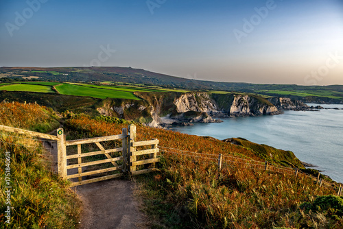 Coastal Path At The Wild Atlantic Coast Of Dinas Head In Pembrokeshire In Wales, United Kingdom