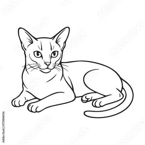Abyssinians Cat Lying Down silhouette vector, sitting on the floor, cute abyssinian cat