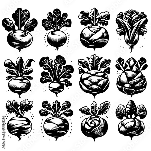 Illustration of twelve stylized black and white root vegetables with leafy green tops in a square format
