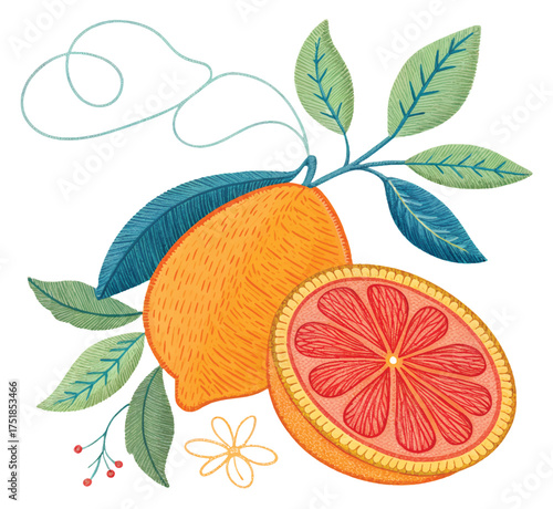 Vibrant citrus fruit illustration with grapefruit and lemon botanical art, perfect for adding a touch of freshness to your designs and branding projects