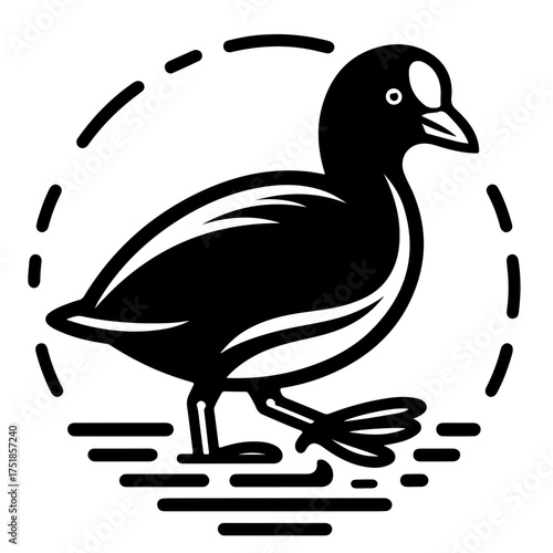 A black and white illustration of a coot bird walking on water with a dotted circle around it