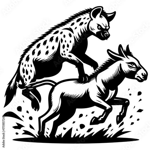 Hyena riding a donkey in black and white with angry expression and splashing water illustration
