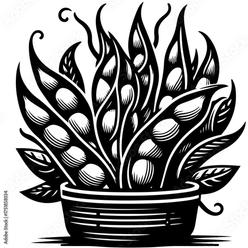 Illustration of a potted plant with pea pods and leaves in a black and white woodcut style design