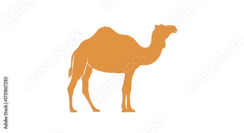 Silhouette of a Camel with a Single Hump.