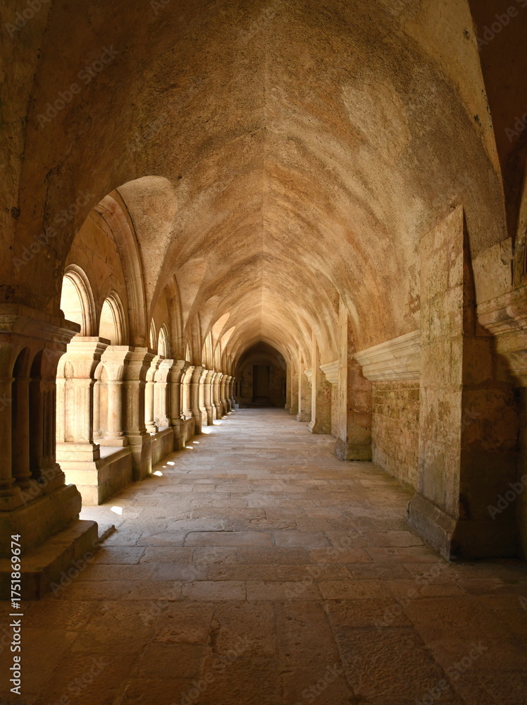 Fototapeta premium cloitre