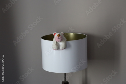 Stuffed Cat looking out of a Lamp