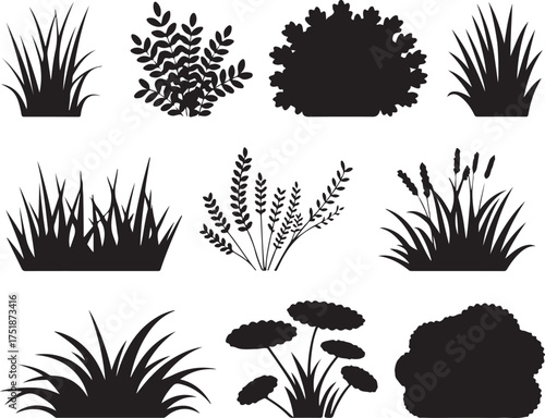 Set of Various Grass and Bush Silhouettes Vector Design for Landscaping