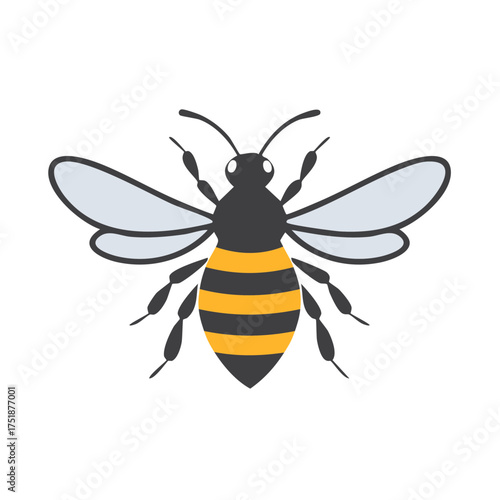 Stylized Illustration of a Honey Bee with Wings and Stripes