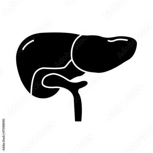 Liver icon desigbn