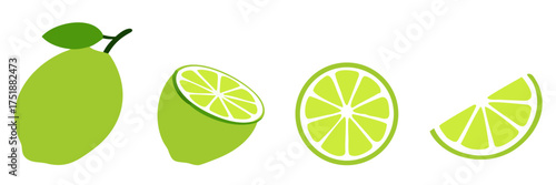 Vector lime slice green, Fresh fruits icon set. green cut citrus vector illustrations.