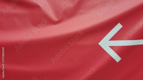 Arrow leads to crane bolt symbol banner bird animal red background moving forward nature peace longevity