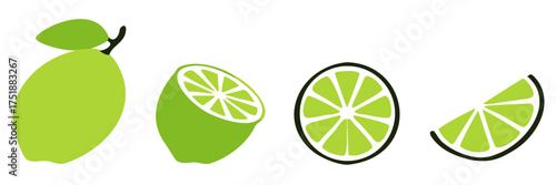 Vector lime slice green, Fresh fruits icon set. green cut citrus vector illustrations.