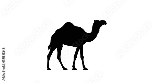 Black silhouette of a dromedary camel with a single hump standing.
