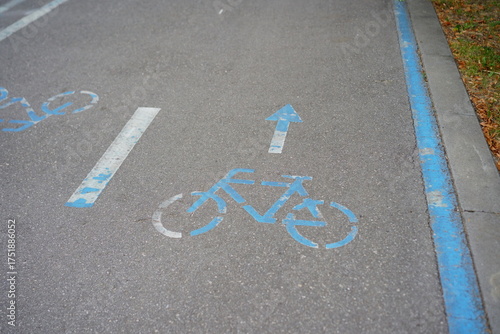 Blue bicycle lane marking on asphalt in a city park indicating direction for cyclists and pedestrians