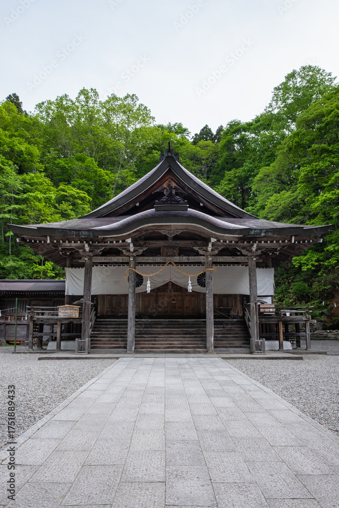 Fototapeta premium 戸隠神社 中社