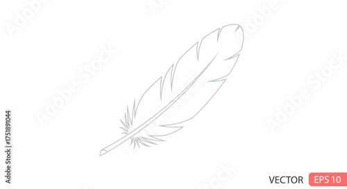 Delicate Outline Drawing of a Single Bird Feather.