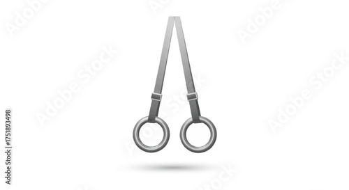 Metallic Gymnastic Rings with Attached Straps Isolated.