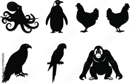 Animal silhouette set, bird, marine, and primate vector icons, octopus, penguin, chicken, eagle, parrot, gorilla, black design