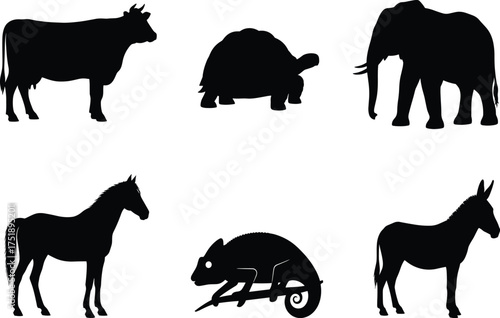 Animal silhouette set, cow, tortoise, elephant, horse, chameleon, donkey, black vector icons, wildlife clipart, isolated shapes, commercial use