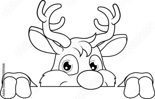 Adorable Christmas reindeer...