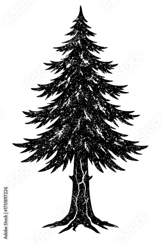 Distressed black pine tree silhouette, grunge texture, isolated white background. Ideal for winter, holiday, nature, forest, outdoor, rustic, vintage design and illustration projects, a truly versatil