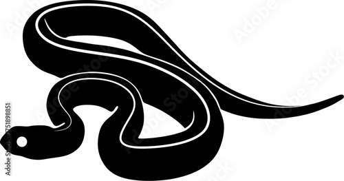 poisonous viper snake isolated on white