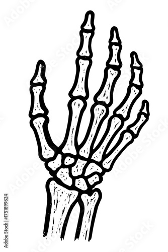 Stylized Human Hand Skeleton Art: A crisp, black and white anatomical drawing of phalanges, metacarpals, and carpals, perfect for medical, educational, Halloween, and science visuals. This unique illu