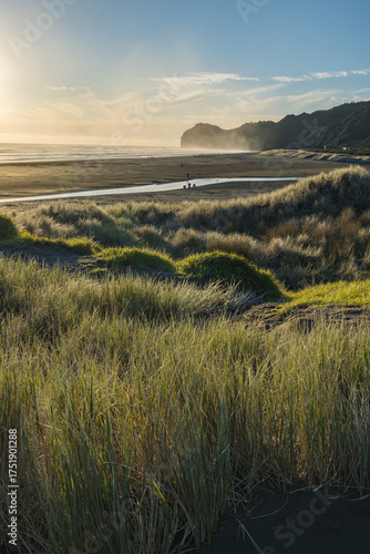 ニュージーランド　オークランド近郊のピハ・ビーチ